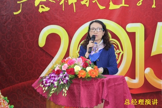202303061619054186 2015年365电子游戏科技迎春晚宴